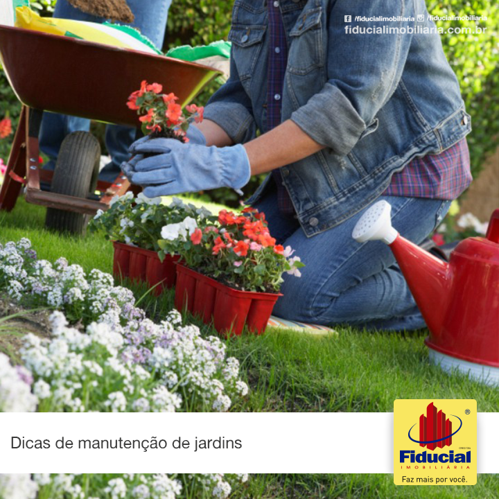 Dicas de manutenção de jardins