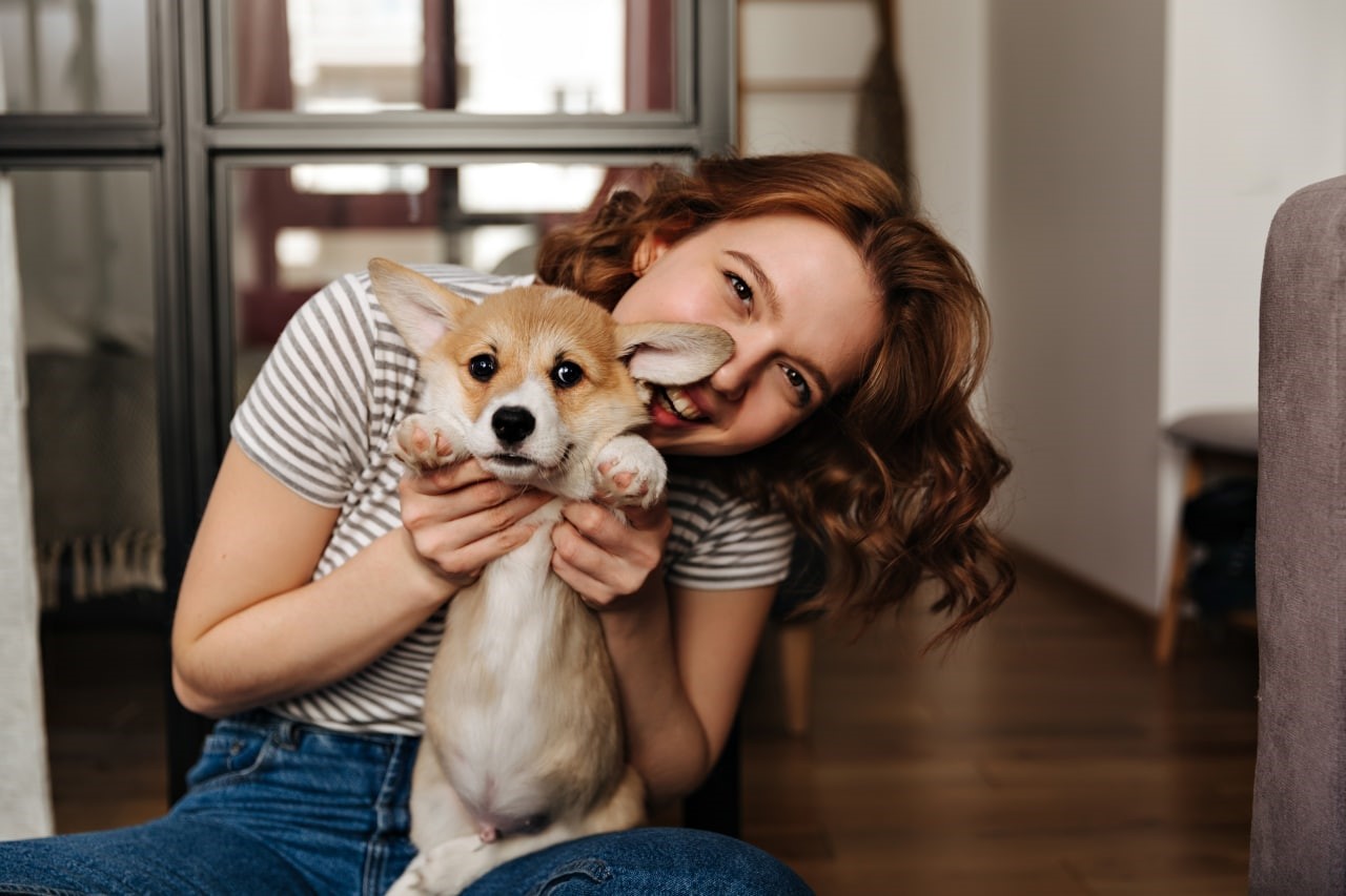 Animais em apartamento: conheça as regras